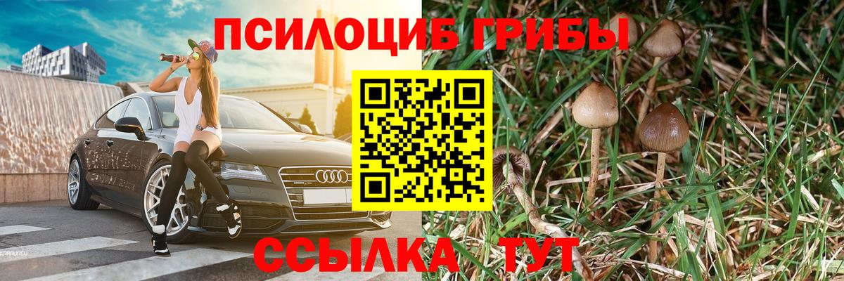 Соль-Илецк  Псилоцибиновые грибы Magic Shrooms  даркнет сайт  Вход с VPN 