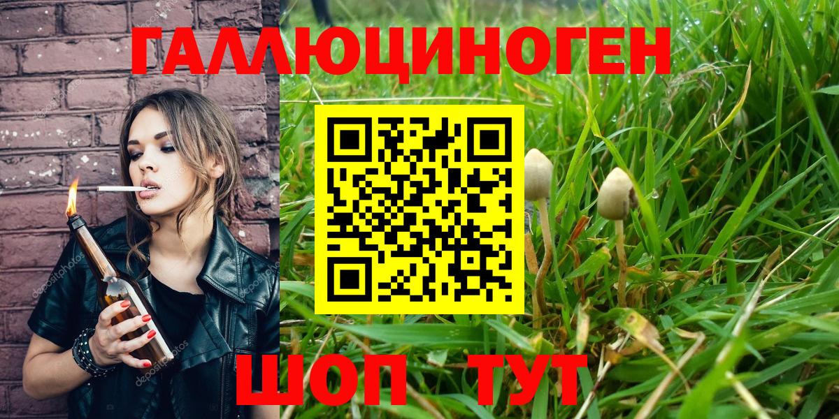 Псилоцибиновые грибы Cubensis Соль-Илецк